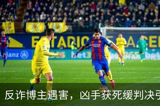 反诈博主遇害，凶手获死缓判决引争议｜律师解读