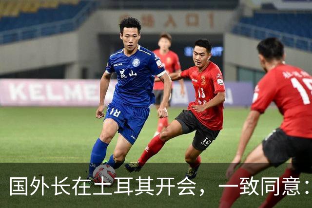 国外长在土耳其开会，一致同意：立即停战！