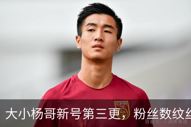 大小杨哥新号第三更，粉丝数纹丝不动