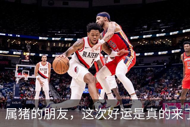 属猪的朋友，这次好运是真的来了