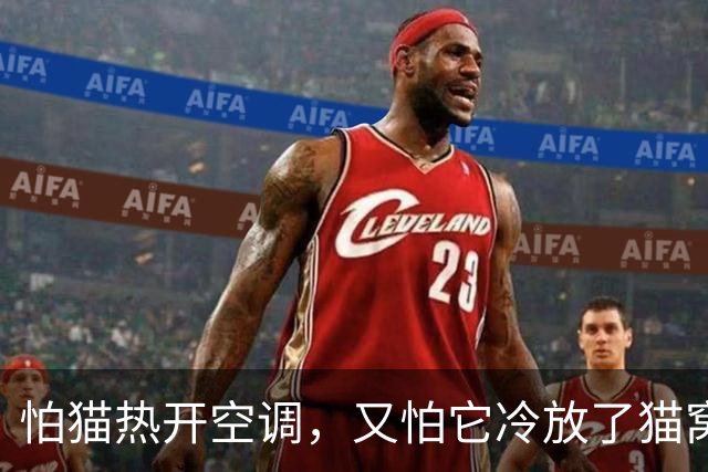 怕猫热开空调，又怕它冷放了猫窝，结果一看监控，绝了！
