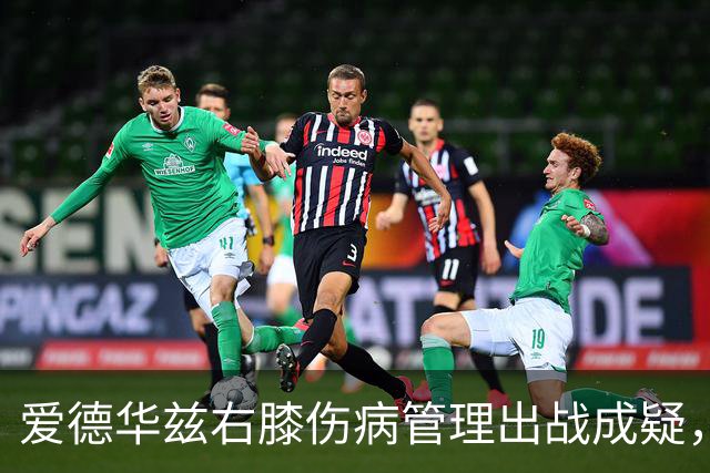 爱德华兹右膝伤病管理出战成疑，森林狼客战骑士少了迪文岑佐
