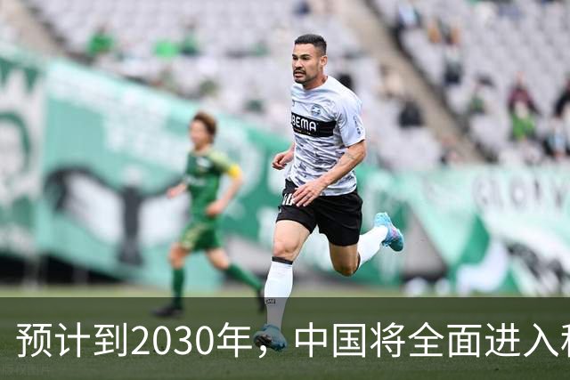 预计到2030年，中国将全面进入租房时代，房子会越来越难卖