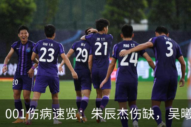 001伤病速览：朱辰杰伤缺，吴曦又伤退，申花中后场如何出球？