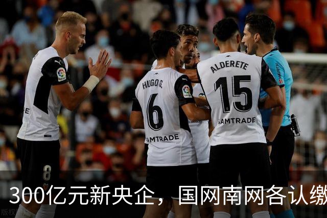 300亿元新央企，国网/南网各认缴37.5亿元